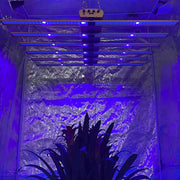 OA 4 Channels Adjustable Spectrum Series 720W SAMSUNG LED Greenhouse Led Grow Light
