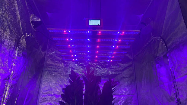 With Screen 4 Channels Adjustable Spectrum 510W LM301H Greenhouse Led Grow Light