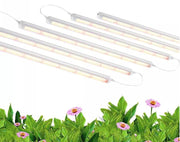 18W 24W 36W 1.2M Good Quality IP43 LED Tube Light Clone