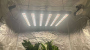 OA 4 Channels Adjustable Spectrum Series 640W LM301H Greenhouse Led Grow Light