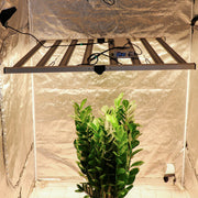 High Cost-effective 1000W SAMSUNG LED Greenhouse folding Led Grow Light